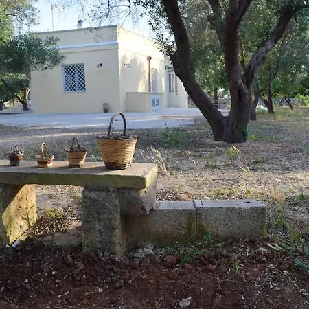 Charming House + Terrace Holiday home *