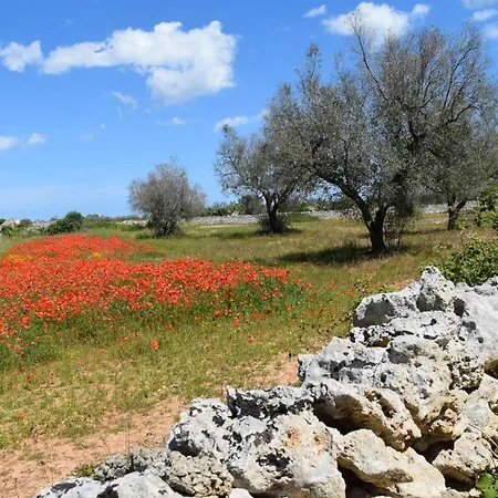 Charming House + Terrace * Muro Leccese